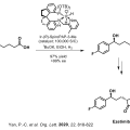 Privileged Chiral Spiro Ligands and Applications to Commercially Marketed APIs Image